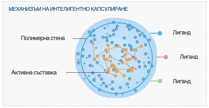 4 Подобрени технологии от „Системата за грижа за кожата 6“