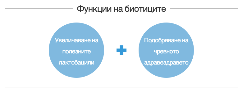 Функции на биотиците