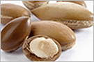 Арганово масло (ARGANIA SPINOSA KERNEL OIL)