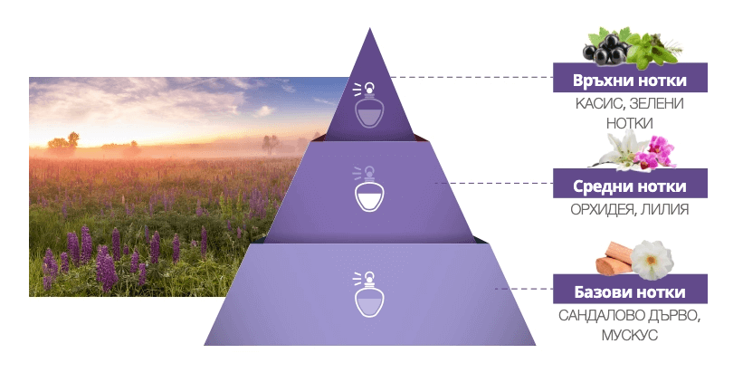 Хидратация и блясък от натурални съставки