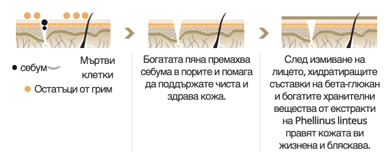 Почиства порите и другите замърсявания по кожата