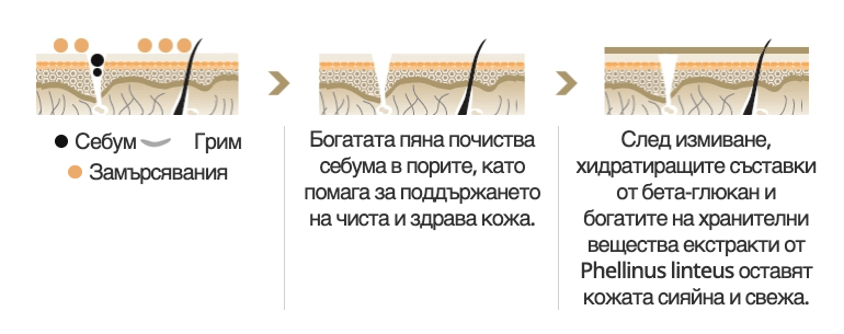 Богатата пяна почиства себума в порите