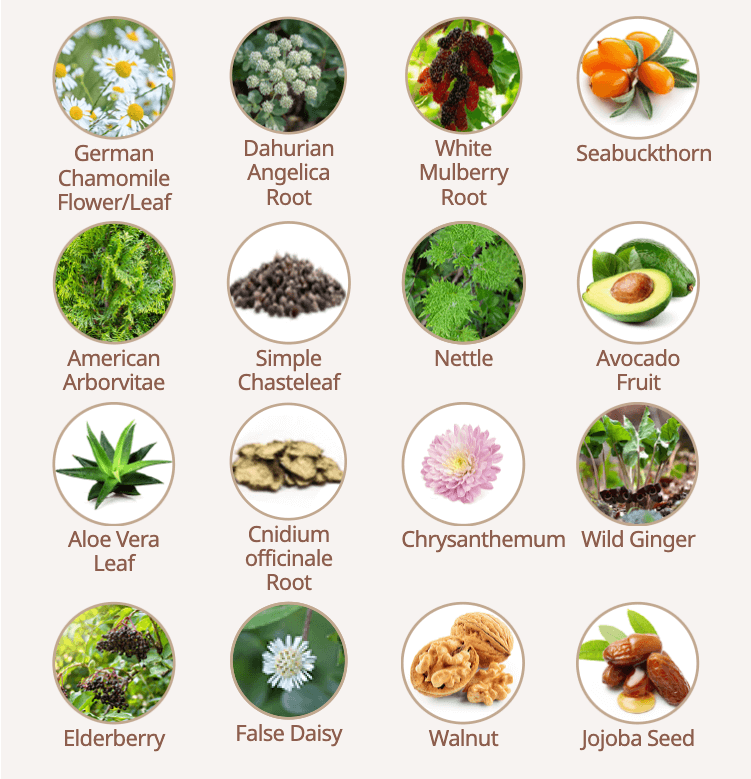 Комплекс HGSC