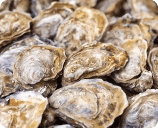 Екстракт от черупки на стриди