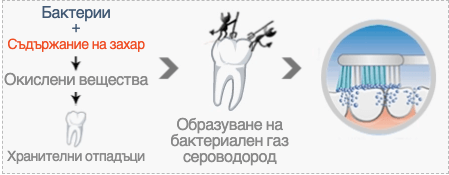 Неутрализира лошия дъх