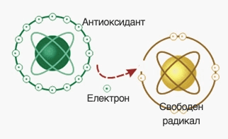 Витамин C като антиоксидант