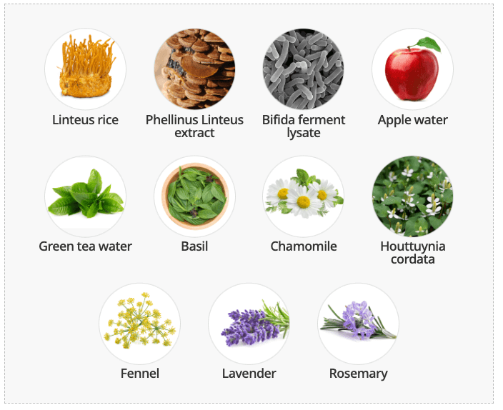 Atomy The Fame Nutrition Cream съставки